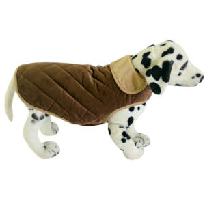 ACE Pet Clothes