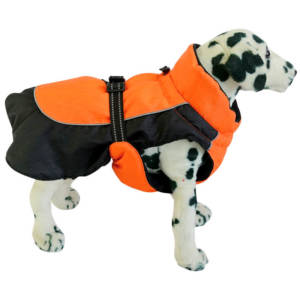 ACE Pet Clothes